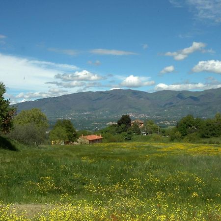 I Gelsi Guest House Figline Valdarno Exterior photo
